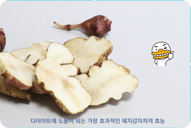 돼지감자