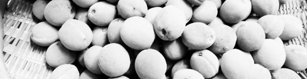 개복숭아 효능 (피로해소)