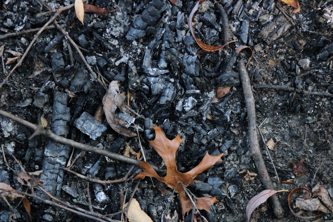 Carbon