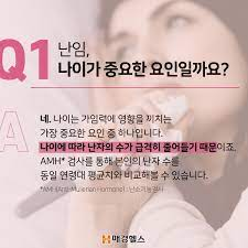 하니 대전 프로젝트