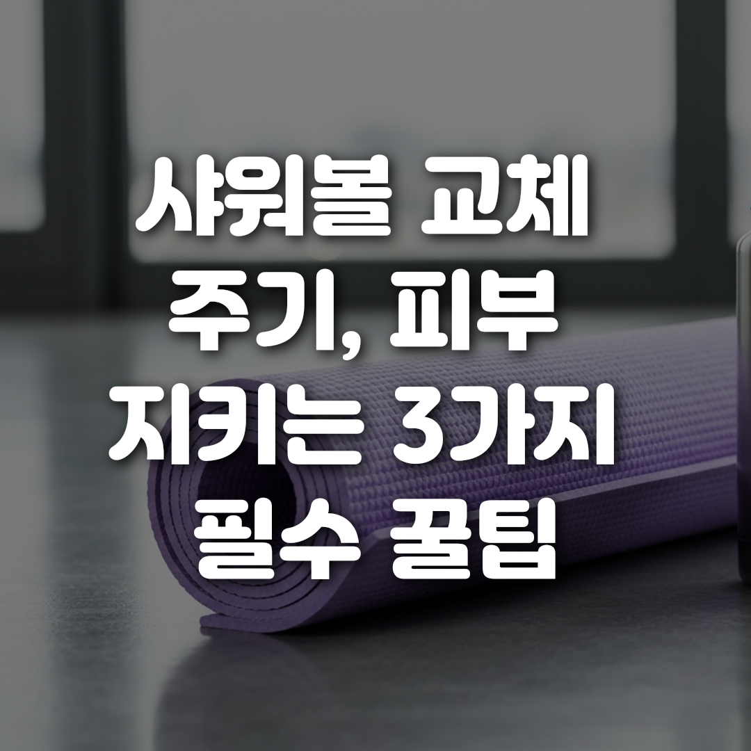 샤워볼 교체 주기 피부 지키는 3가지 필수 꿀팁