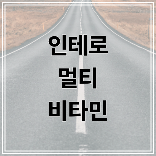 인테로 멀티 비타민