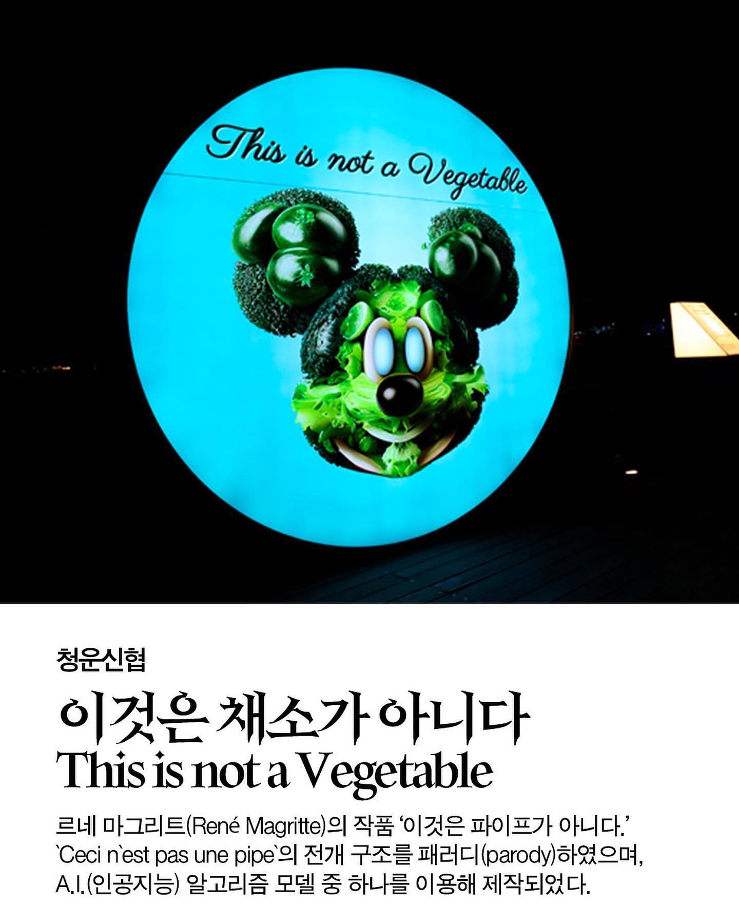 2023 대구 수성못 빛축제 (수성빛예술제) 기본일정 및 프로그램 소개 배치도 드론쇼 정리