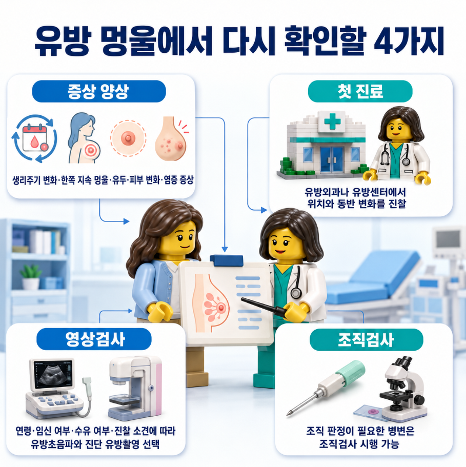 유방 멍울의 증상 양상·첫 진료·영상검사·조직검사 핵심 4가지 요약