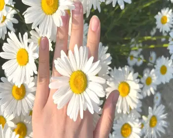 서산 유기방가옥 수선화 축제_15