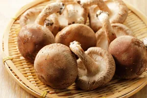 이석증에-좋은-음식