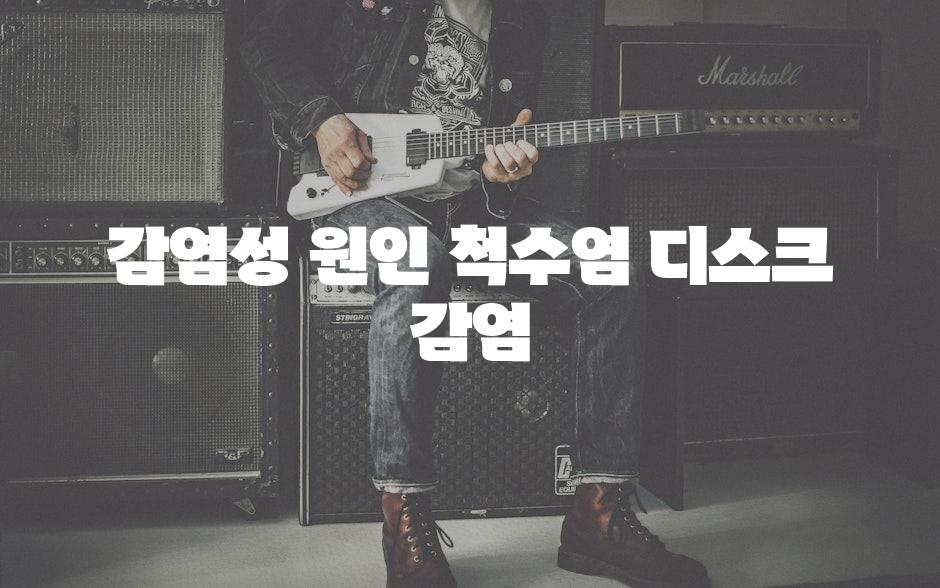 감염성 원인 척수염 디스크 감염