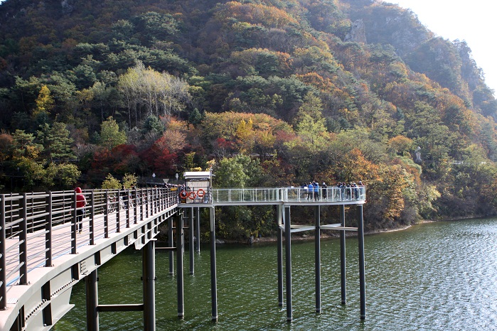 ๊ฐ์๋ ์๊ตฌ ๊ฐ์์ฒ์ฒดํ์ฅ ์๋ชฉ์ ์ฃผ๋ณ ๋ง์ง ์นดํ ํน์ฐ๋ฌผ ์ค์ผ์ฅ ์ ํต ์์ฅ ๋งํธ ๊ฐ์์ง ๋๋ฐ ์ ๋ณด