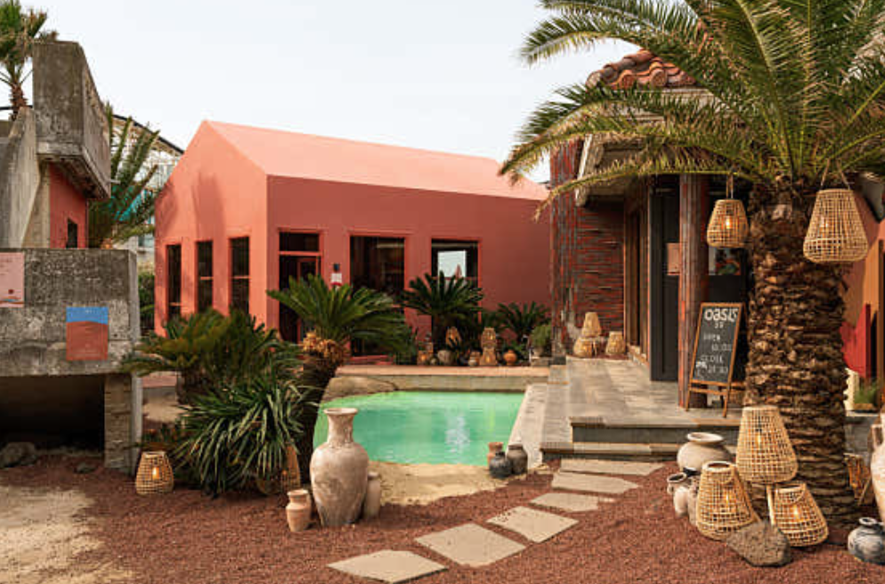 이동건 제주도 카페 오아시스80카페