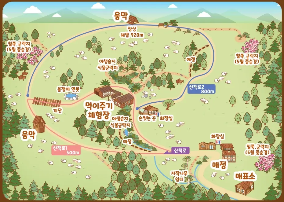 대관령-양떼목장-입장료-주차장-운영시간