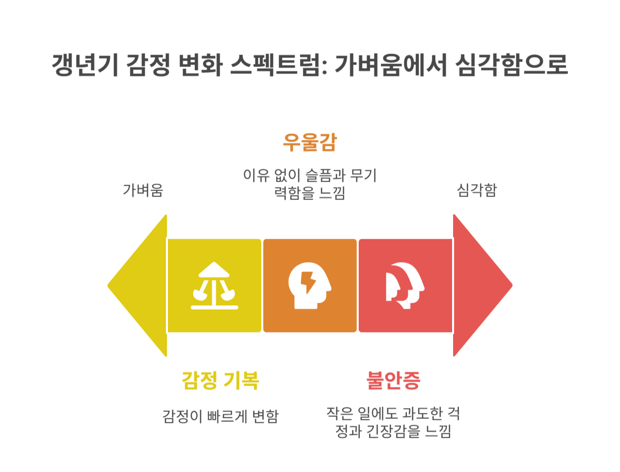 갱년기 마음의 변화: 우울감, 예민함, 불안증