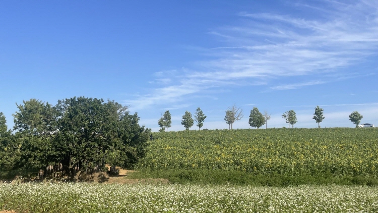 보리나라 학원농장