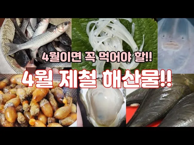 4월 제철음식 제철 생선 과일 채소 모음_7