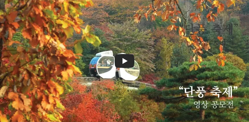 단풍-화담숲-모노레일-예약