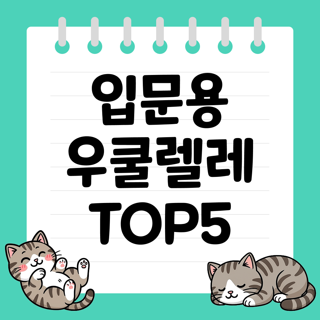 초보자도 금방 익숙해지는 입문용 우쿨렐레 추천 순위 TOP5