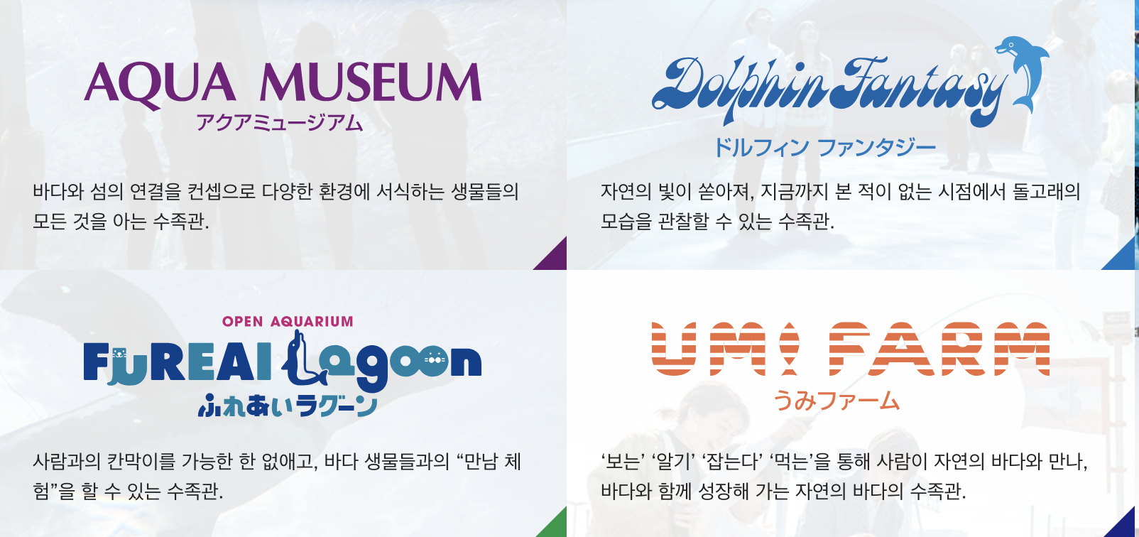 요코하마 씨파라다이스
