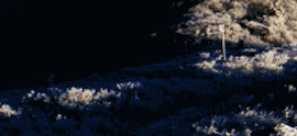 Tile 13