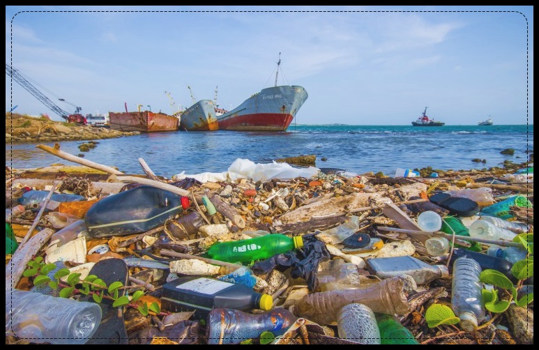 지구 온난화 해결방안-해양 보호