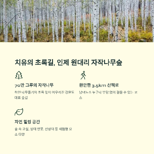 6월 강원도 여행지 추천 BEST 6