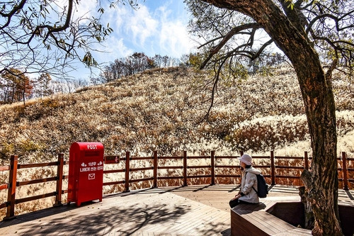 명성산 등산코스 추천