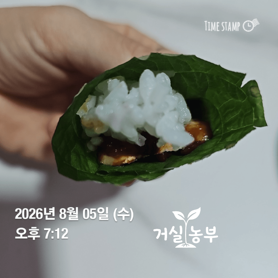 직접 키워 수확한 깻잎으로 만든 고기쌈