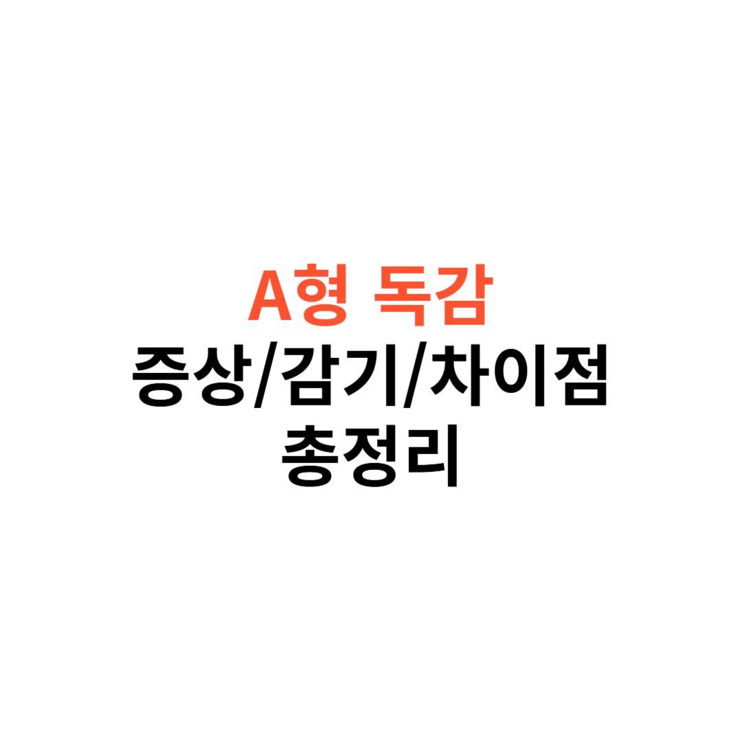 A형 독감