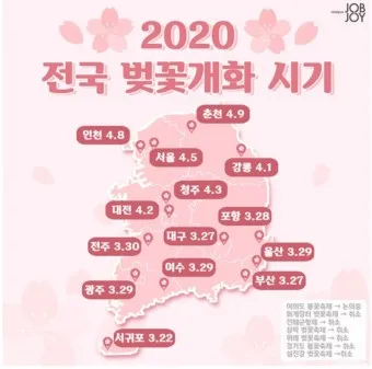 벚꽃 만개시기 2025 숨겨진 명소 베스트3_15