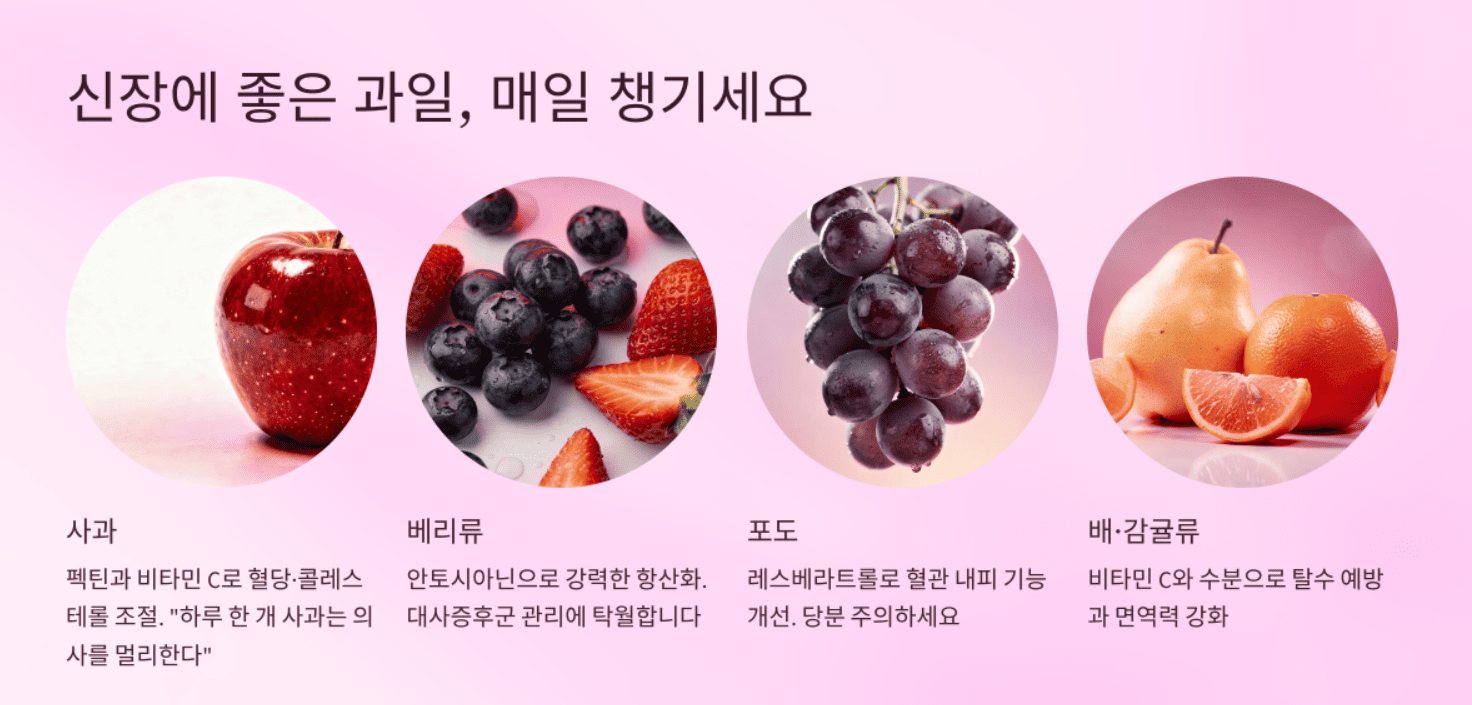 신장에 좋은 음식 총정리