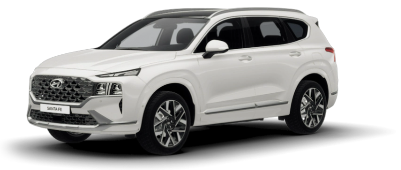 크리미 화이트 펄(색상 코드 : WW2)