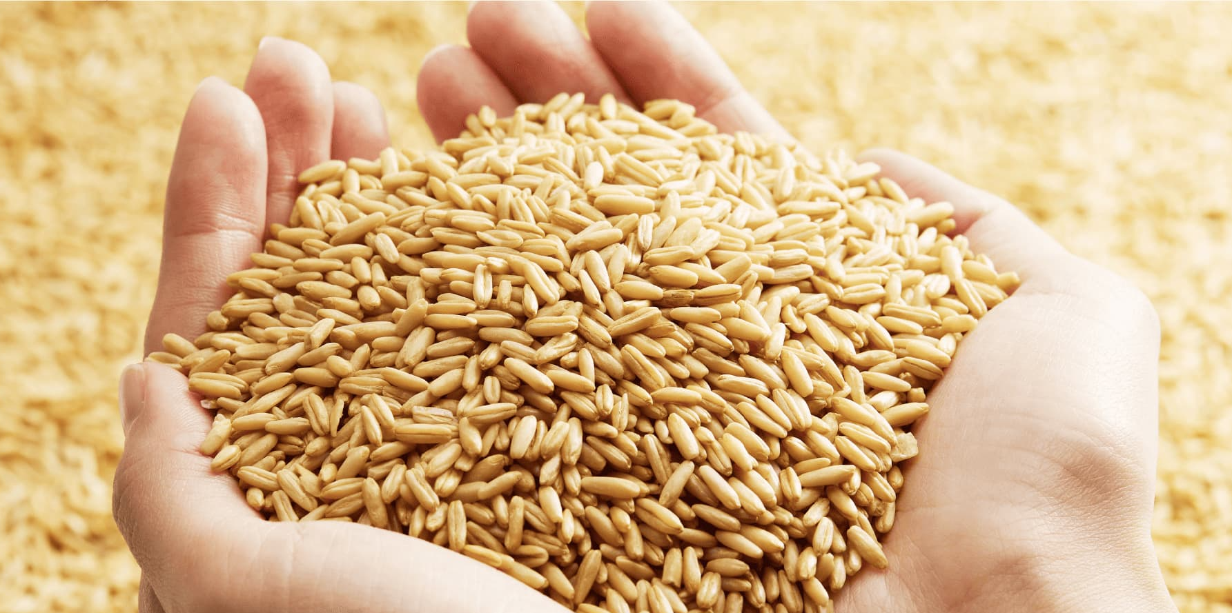 단백질 많은 음식