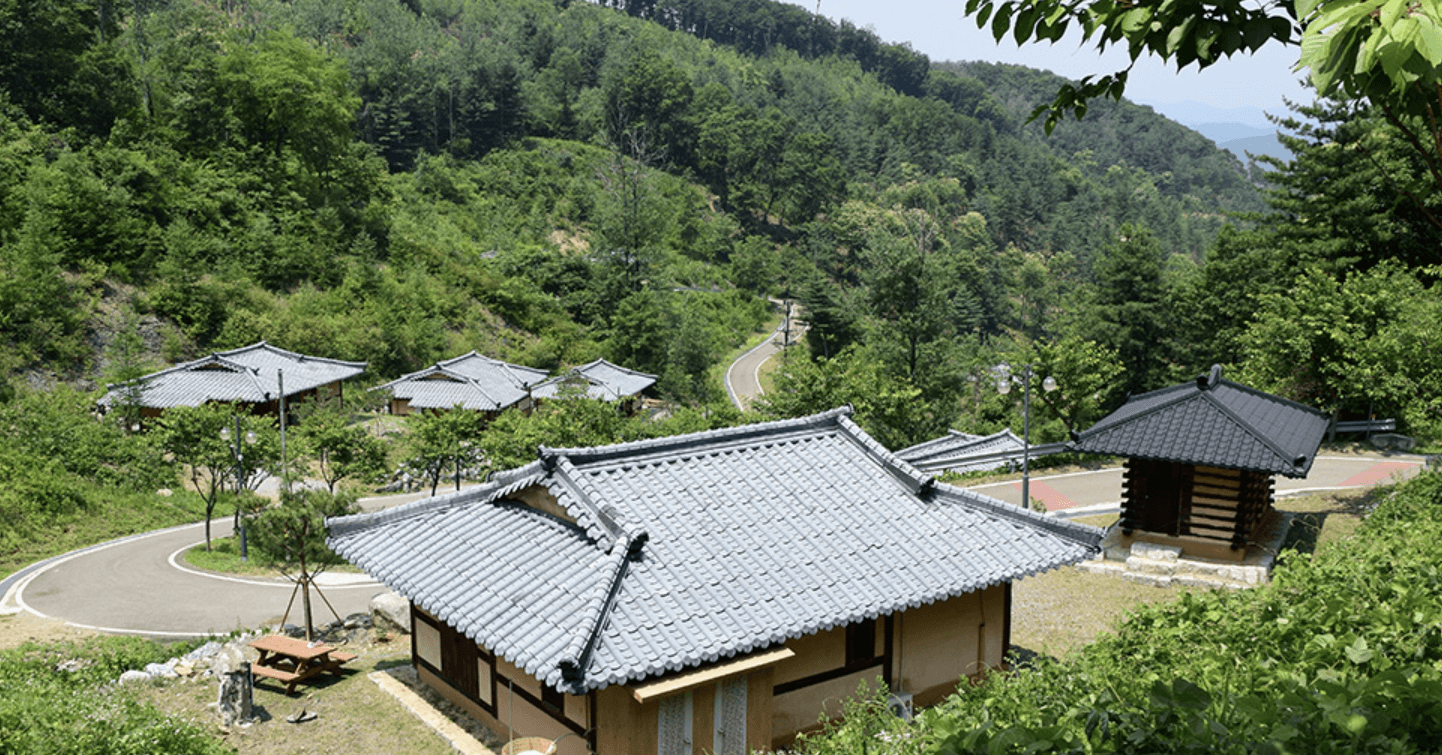 양평 남겨서 뭐 하게 맑은숲캠프