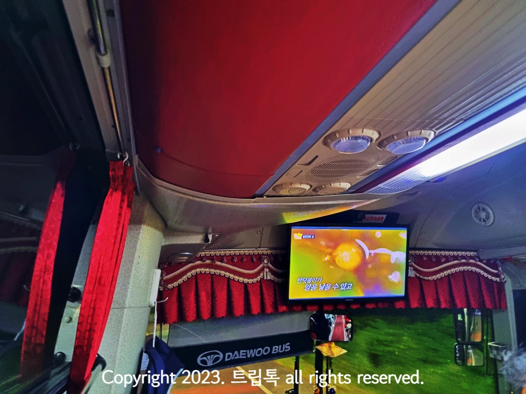 버스 내부고 왼쪽엔 창문 위에는 빨간색 천장이 있고 앞에 화면으로 만딧불이 관한 영상이 보인다.