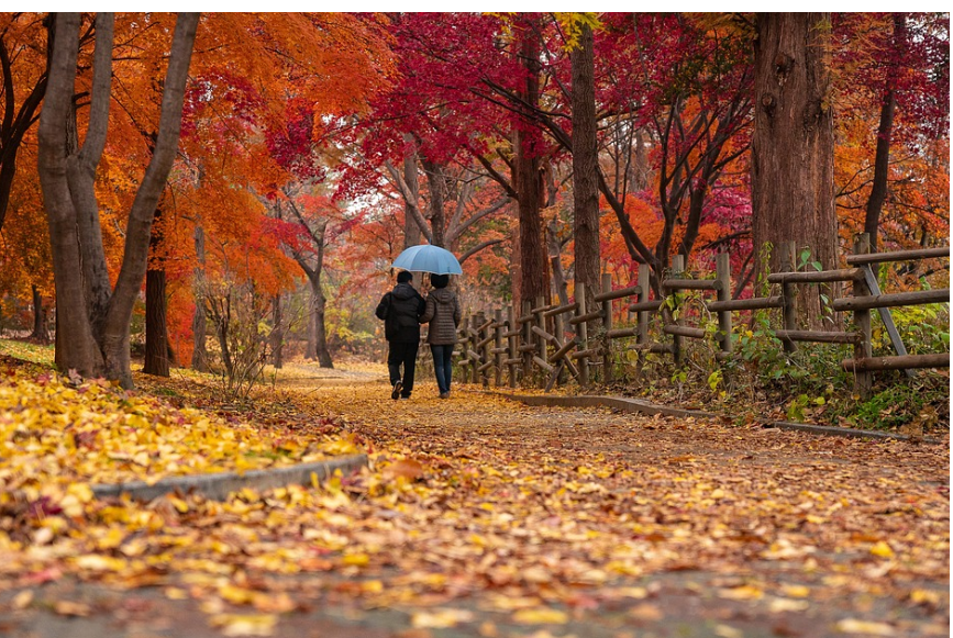 자연과 함께하는 여행지(산,숲,바다)