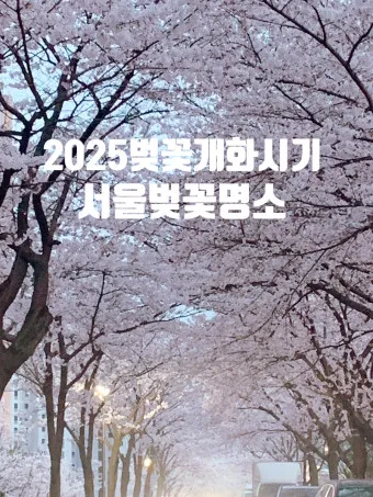 서울 벚꽃 명소 추천 베스트10_16