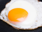 비타민k 많은 음식