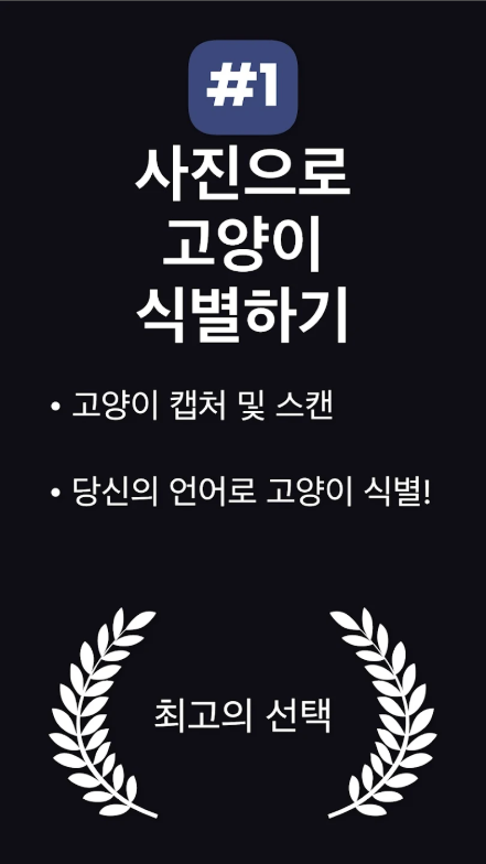 고양이 품종 찾기 앱, 고양이 품종 식별하기