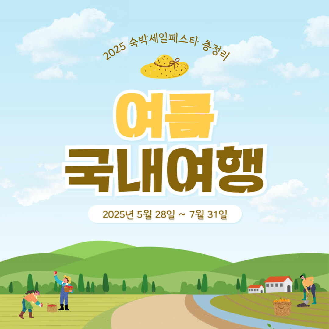 숙박세일페스타