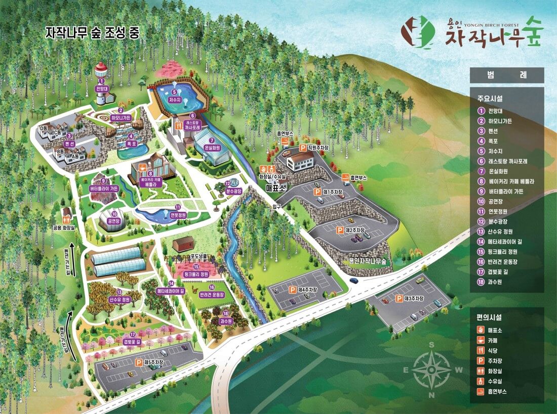 용인 자작나무숲 봄꽃축제