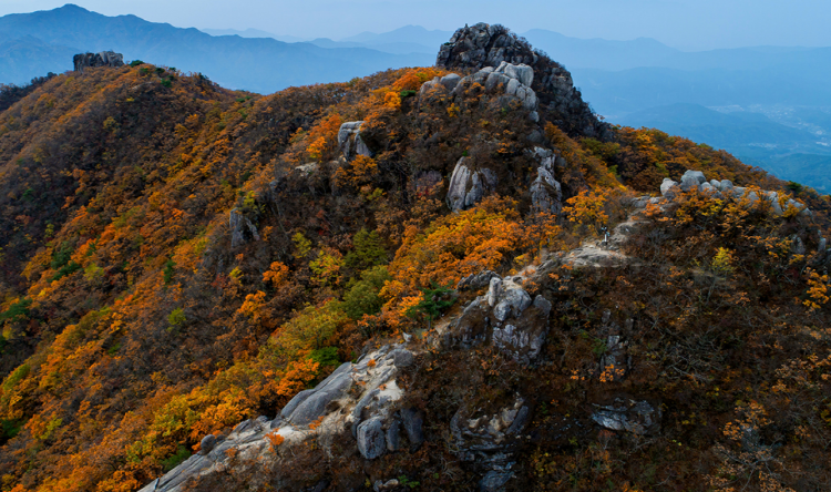 팔공산 등산코스