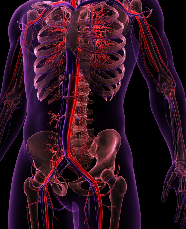 흑염소 진액 효능 : 뼈건강&amp;#44; 혈액순환