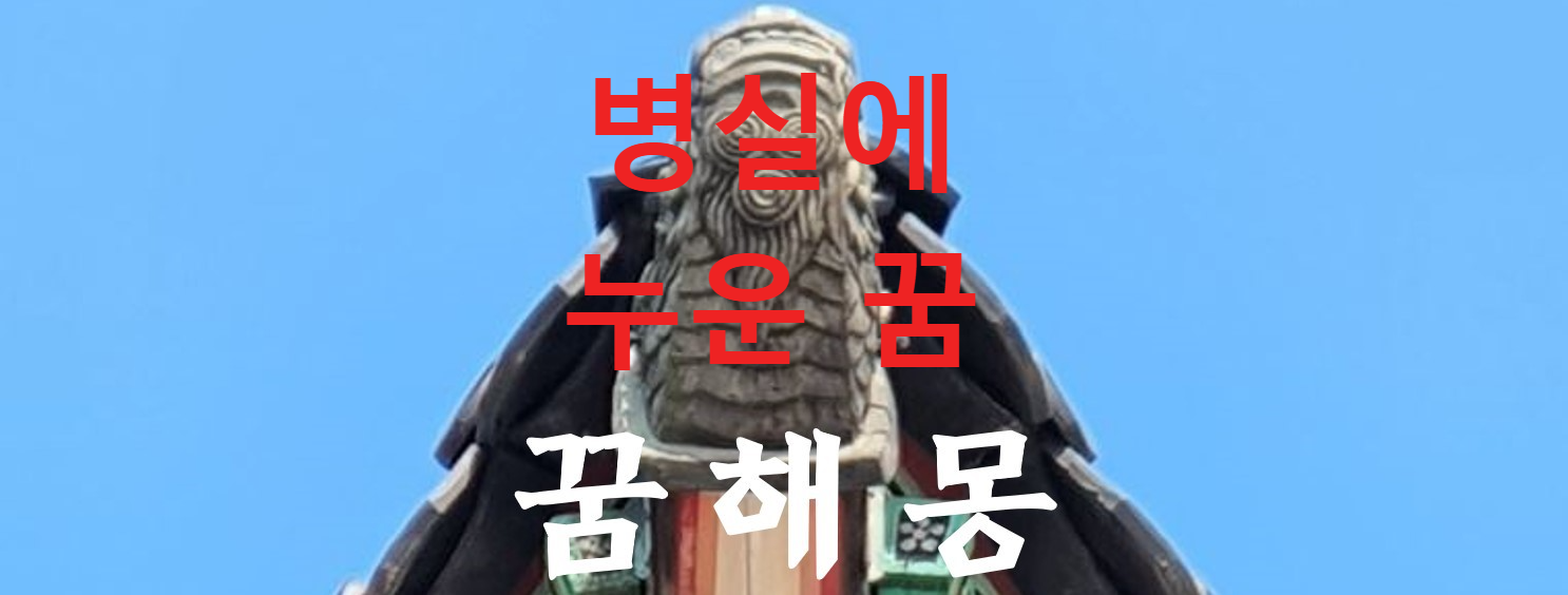 꿈해몽