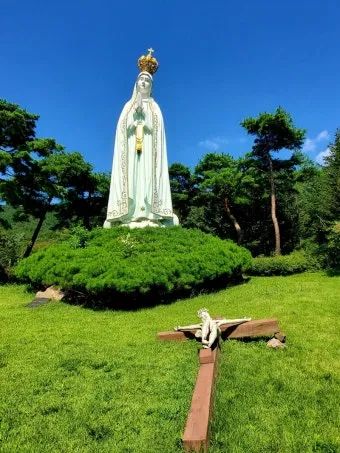 천진암 흰민들레 백양자연관찰로 괭이눈 개화_14