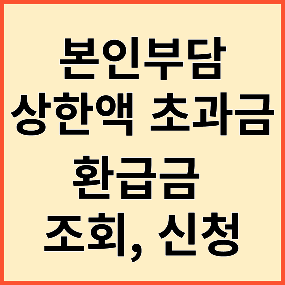 2024 본인부담상한액 초과금 조회 신청 실비