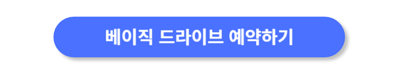 버튼