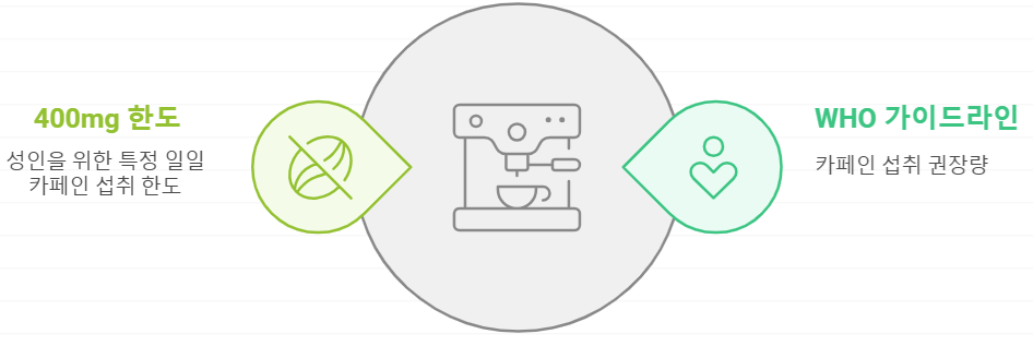 WHO 카페인 가이드라인