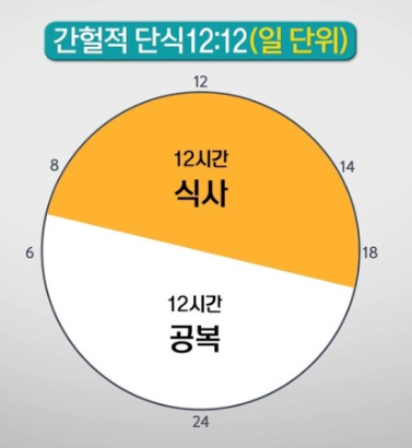 12:12 간헐적단식 표