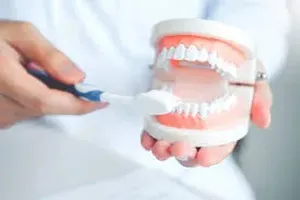 치아