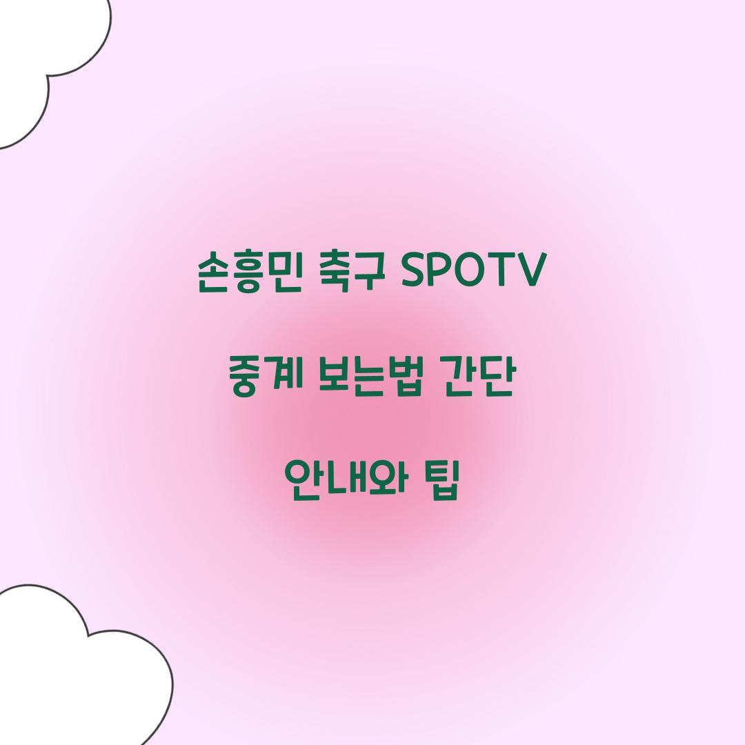 손흥민 축구 SPOTV 중계 보는법