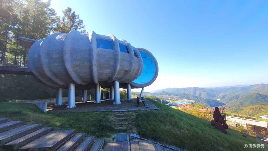 정선 가볼만한곳 베스트10