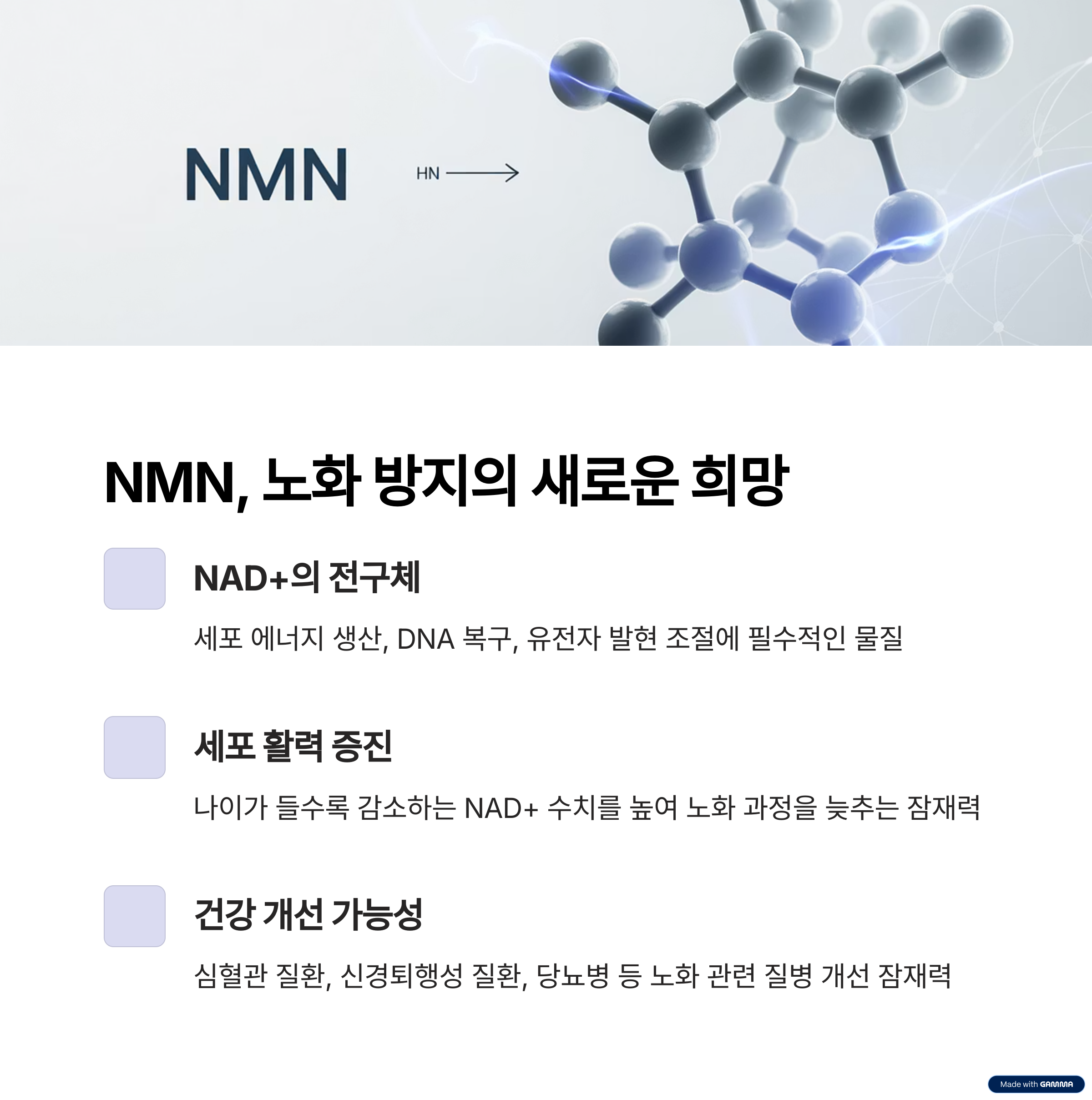 니코틴아미드 모노뉴클레오티드(NMN)의 화학구조.